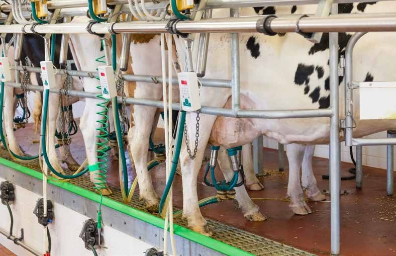 detergenti agroalimentari puliexpert